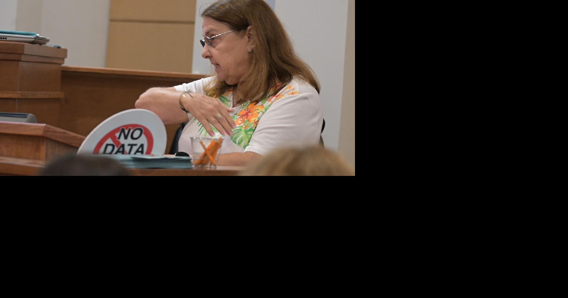 Seven hours, 400 comments, packed City Hall: North Port moves to halt data centers