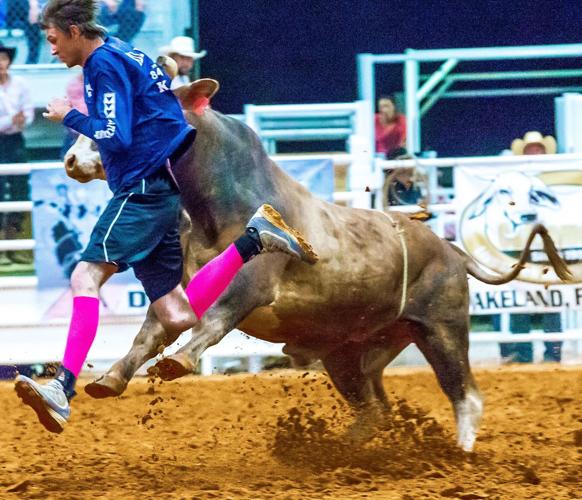 Arcadia Fall Rodeo this weekend with freestyle bullfighting, more