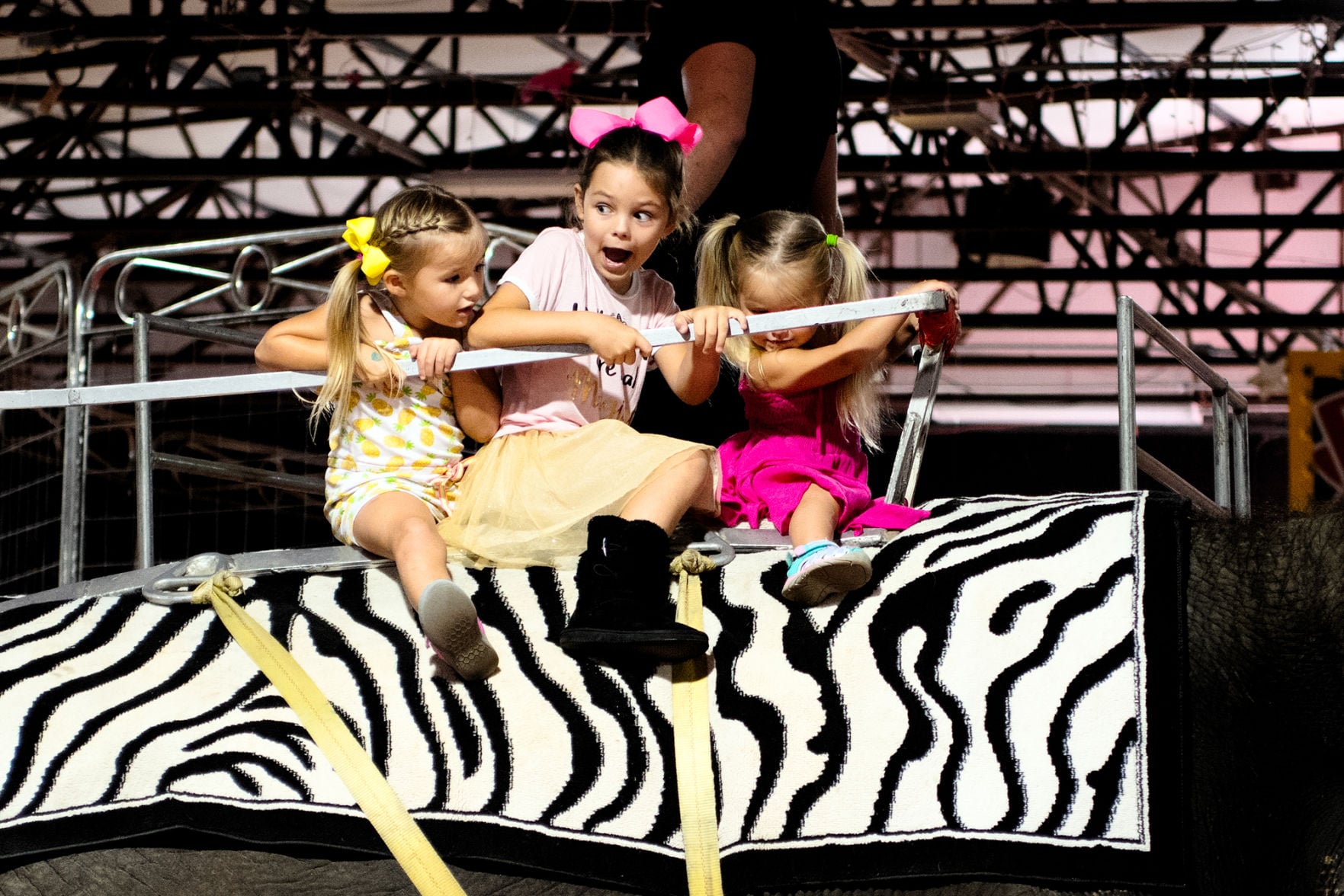 Loomis Bros. Circus comes to town | The Daily Sun | yoursun.com