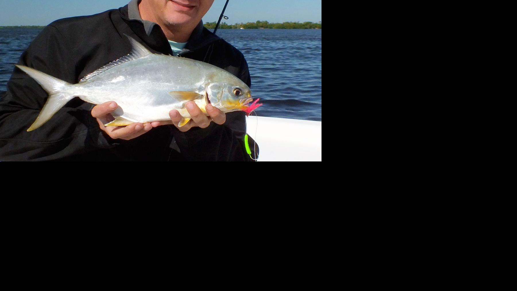Pursuing Pompano Waterline Yoursun Com