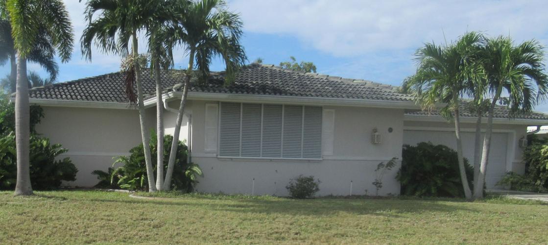 Rats take over abandoned Punta Gorda Isles home News yoursun com