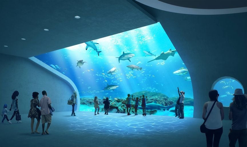 new mote marine aquarium