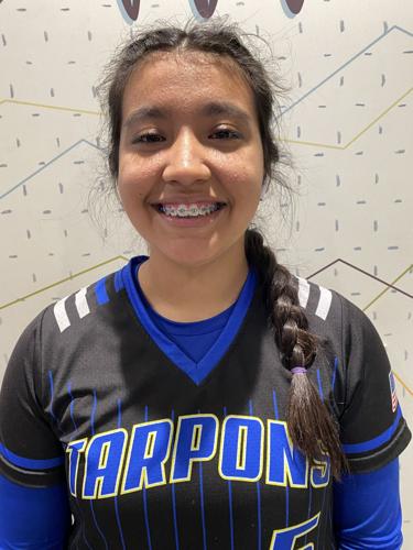 ALL-AREA SOFTBALL: Gaudy numbers highlight area softball | Sun Preps ...