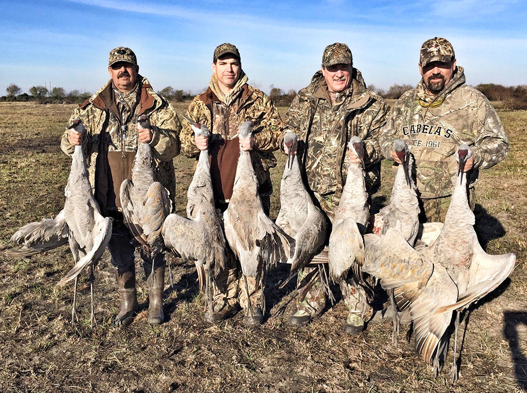 A sandhill hunt?, Waterline