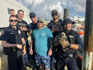 Puppies rescued from sailboat off Key West