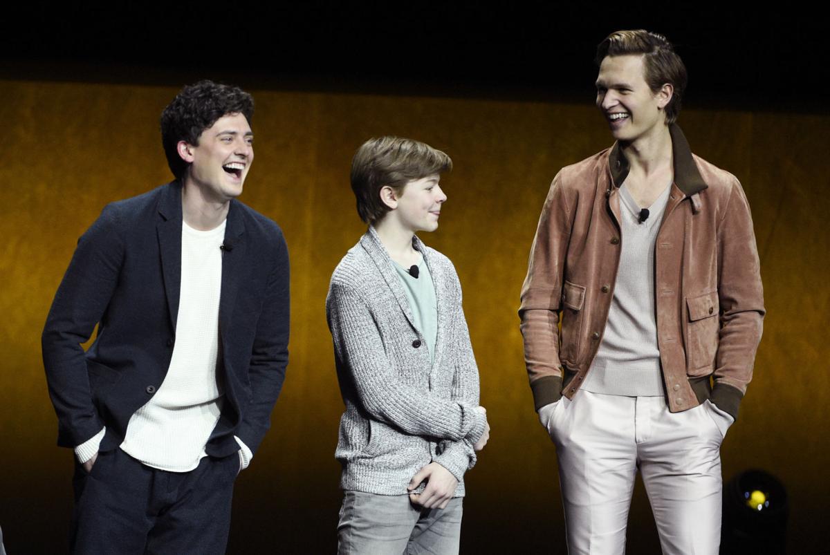 ‘The Goldfinch’ takes flight in new film | Features | yoursun.com