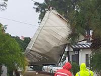 A Roof Against Powerlines