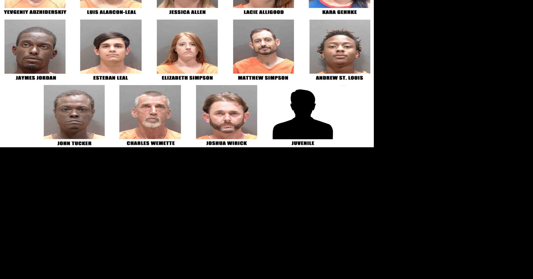 Sarasota Sheriff's Department retail theft sting ends in 14 arrest ...