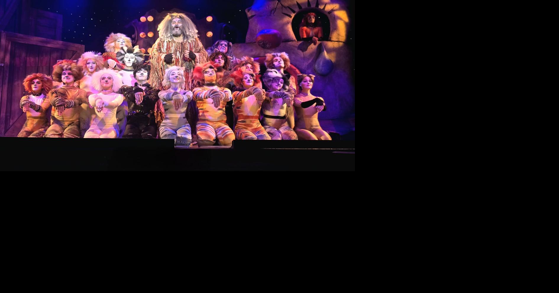 Cats slink onto Broadway Palm stage in Andrew Lloyd Weber hit | News ...