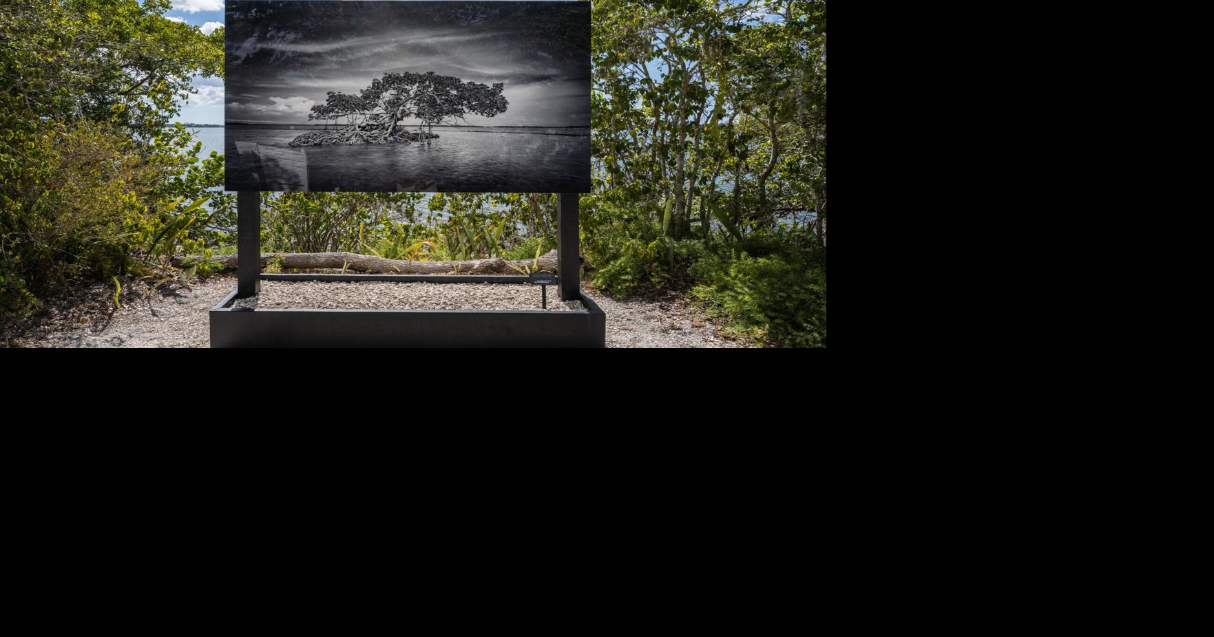 ‘Clyde Butcher: Nature Through the Lens’ | News | yoursun.com