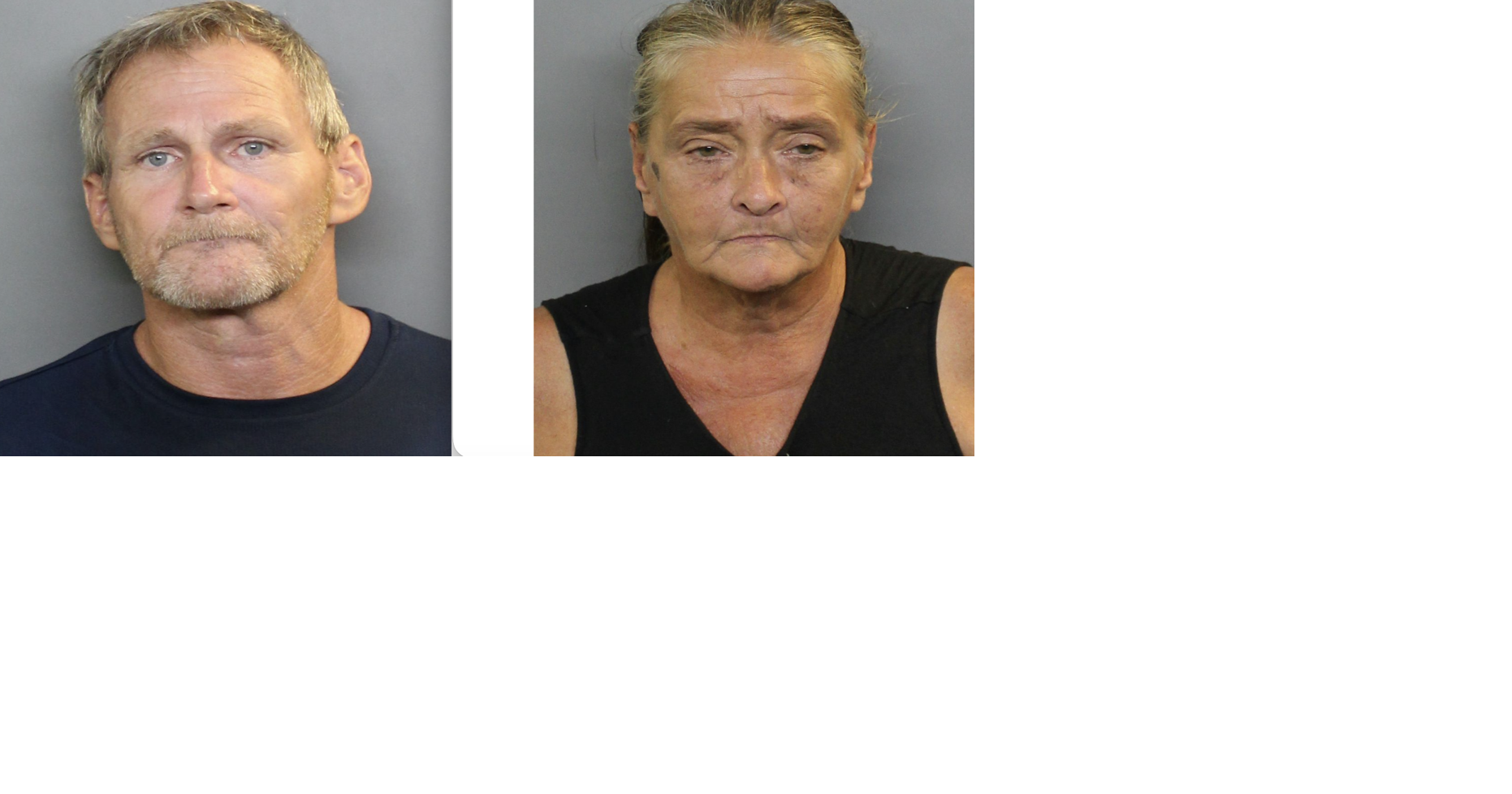 Cops: Duo arrested on drug charges