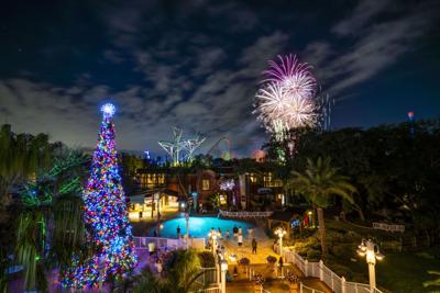 Ring In The New Year At Busch Gardens Let S Go Yoursun Com