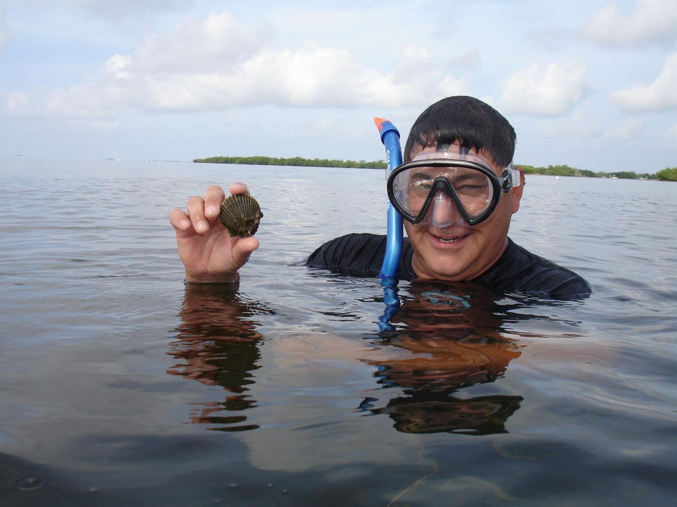 Volunteers Needed To Check On Scallops Clams Grasses In