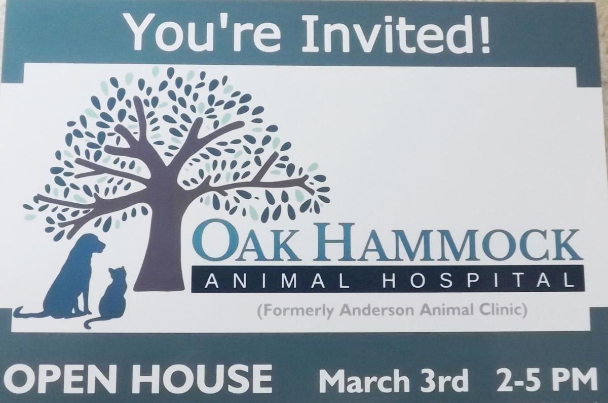 Oak Hammock Animal Hospital Newsarchives Yoursun Com