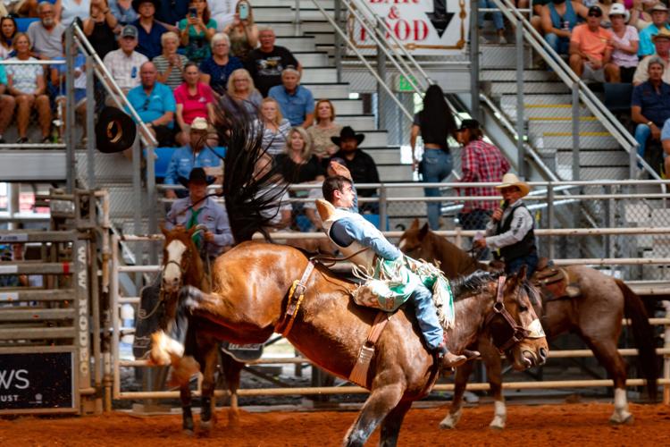 Riding, roping begin at 95th Arcadia Rodeo News