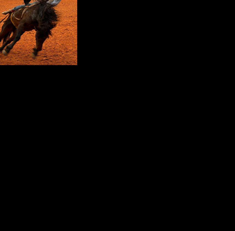 Arcadia All-Florida Championship Rodeo set for this weekend | News ...