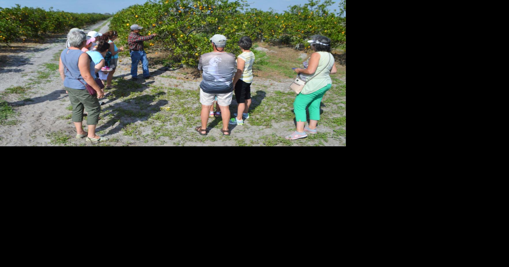 Drought drums down Southwest Florida; some businesses flourish in it