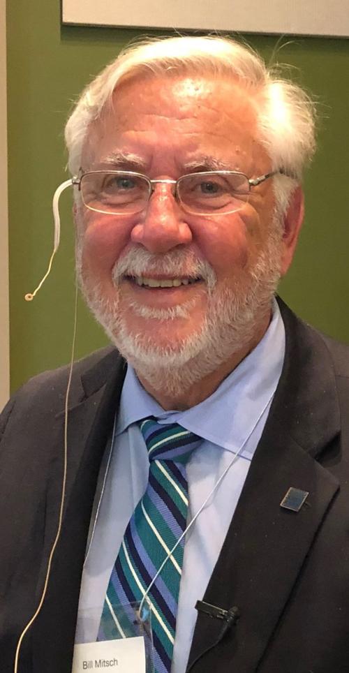 William Mitsch