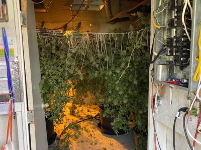 NSgrowlhouse102220a