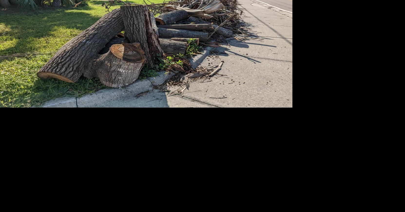 Punta Gorda gets $2.5M from FEMA for Ian debris removal | News ...