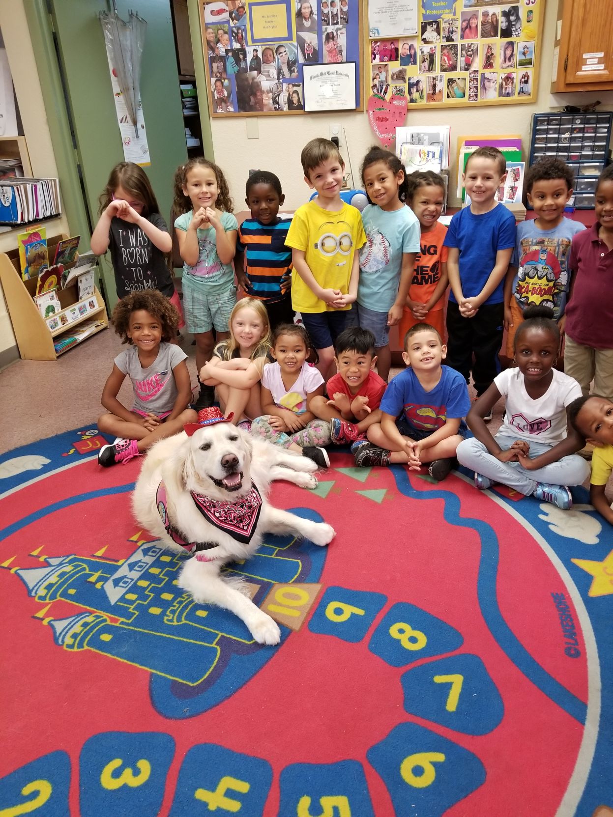 alliance of therapy dogs renewal