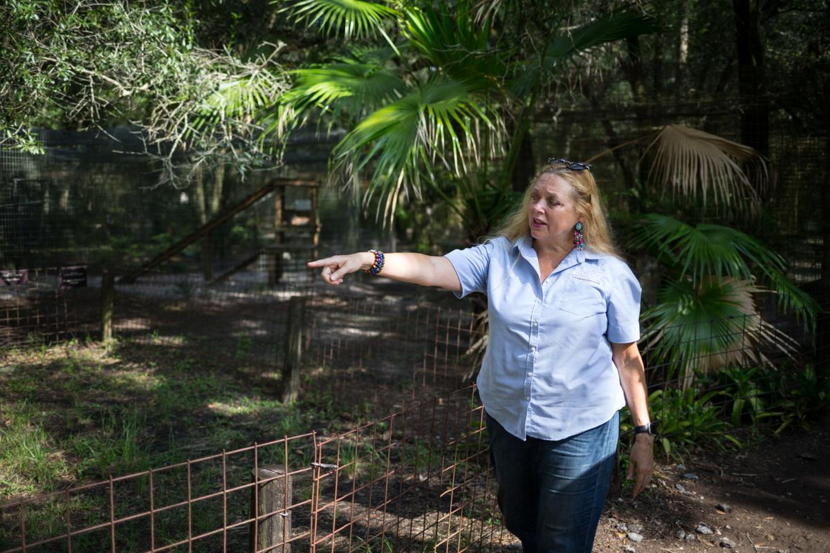 Florida Sheriff Wants New Leads Following Netflix Series Tiger