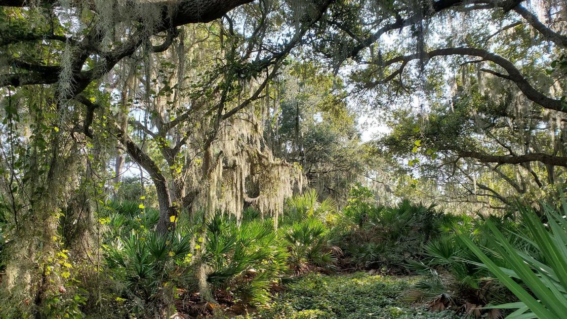 Old Miakka Preserve becomes protected lands | Englewood Sun - yoursun.com