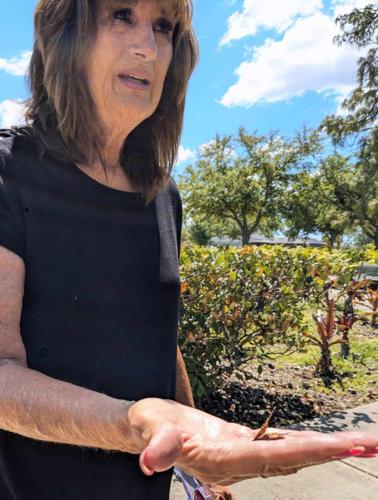 'Grief is the price that's paid for strong love' | News | yoursun.com