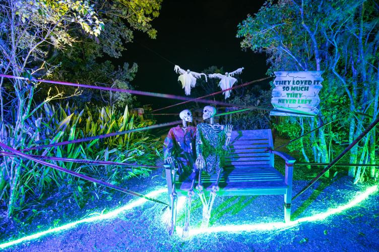 Encounter fantastically fun creations and unique Halloween light displays around every bend at