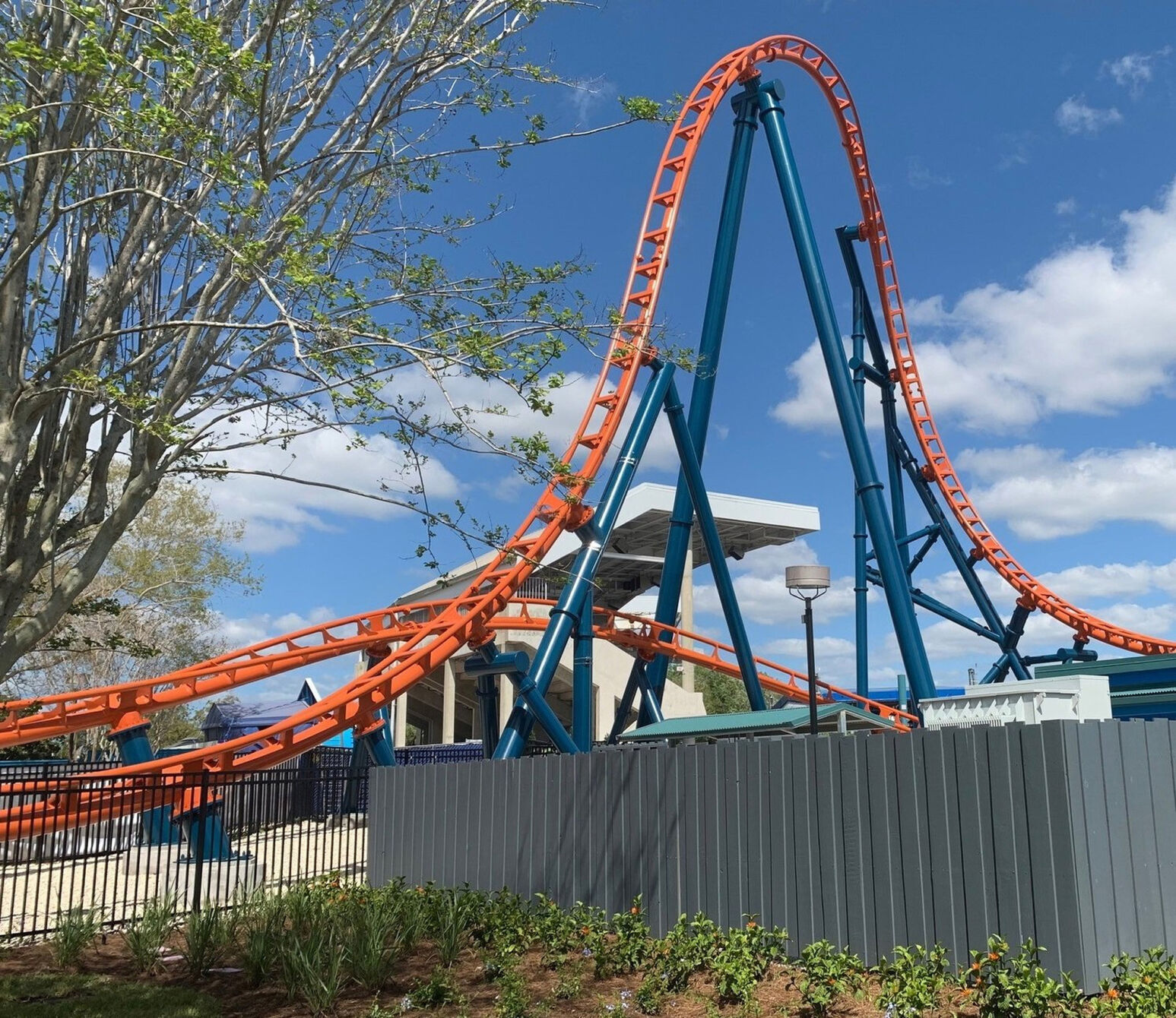 Picking the right roller coasters for guests Daily Break