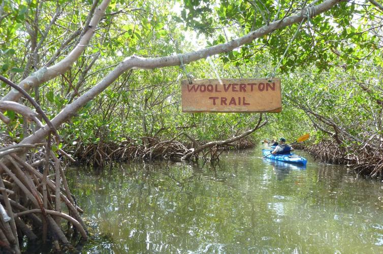 Truex floats a kayak launch in Placida The Daily Sun