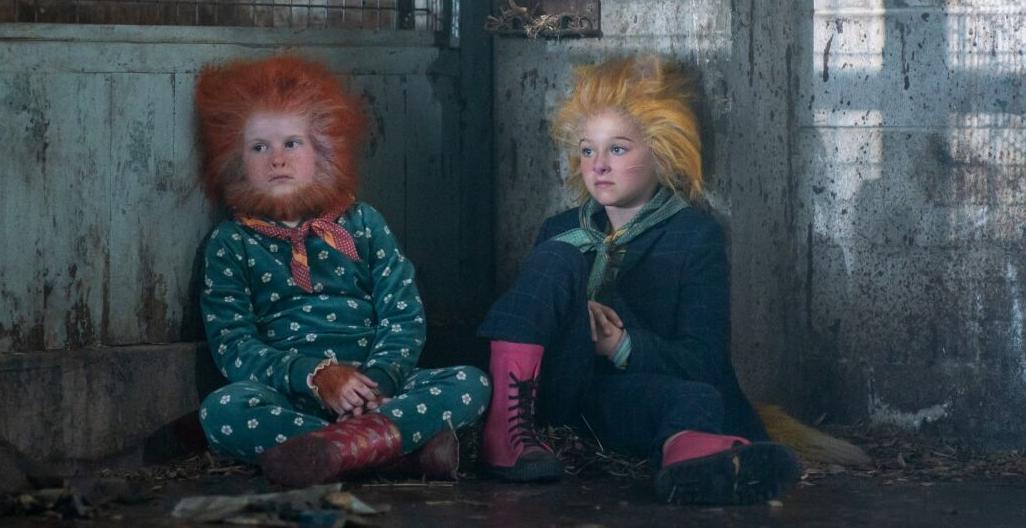 Sweet Tooth Hybrids Yoursun Com