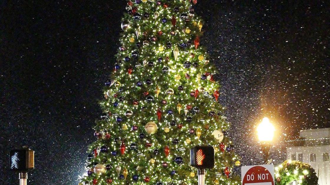 Punta Gorda Christmas Tree Lighting 2021