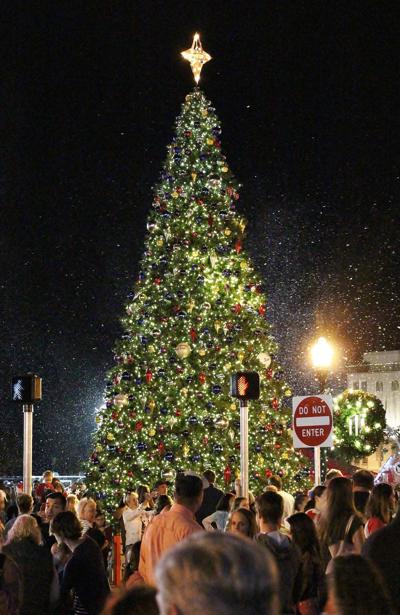 Punta Gorda Christmas Tree Lighting 2022 Punta Gorda Aims To Bring Back Giant Christmas Tree | News | Yoursun.com