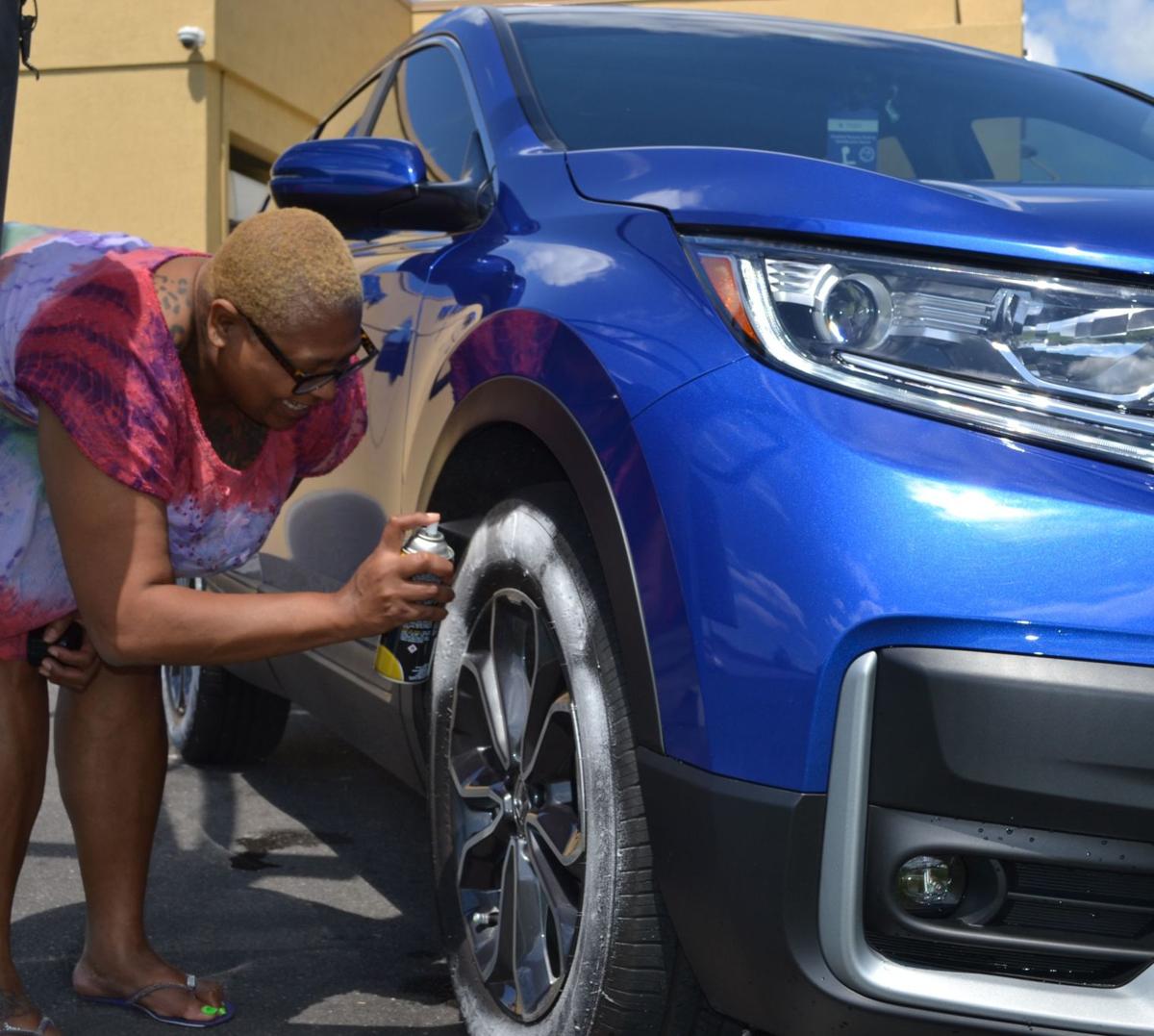 How To Get Rid Of Love Bugs Off Your Car لم يسبق له مثيل الصور