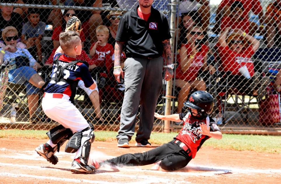 Dixie Youth Baseball State Champions Highlands NewsSun