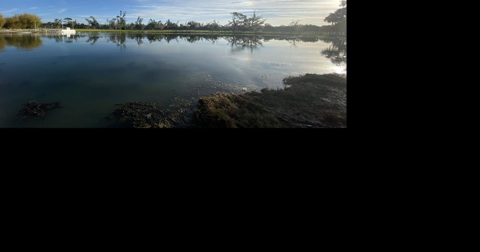 'Jewel of North Port' - Warm Mineral Springs hosts thousands every year ...