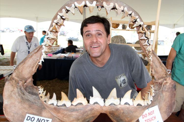 Sharks Tooth Festival returns to Venice News