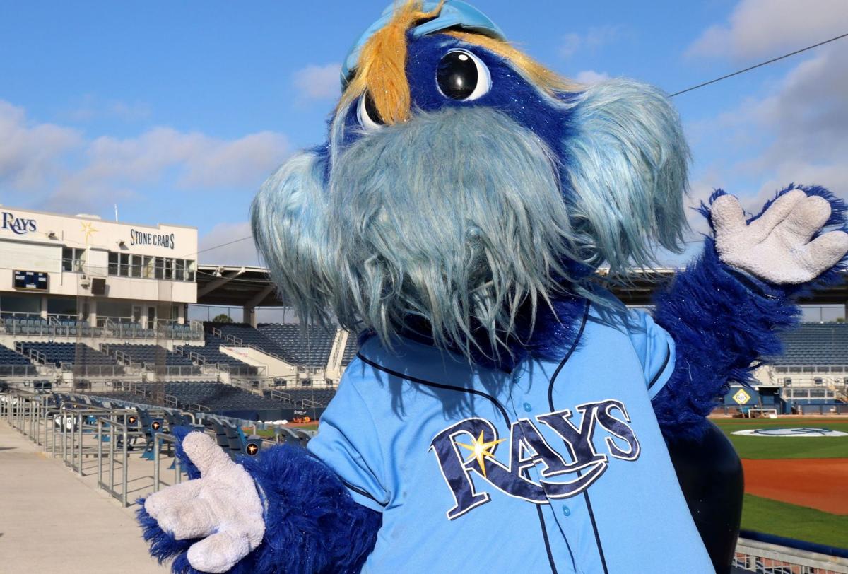 Chamber of Commerce Day at Rays Spring Training Multimedia