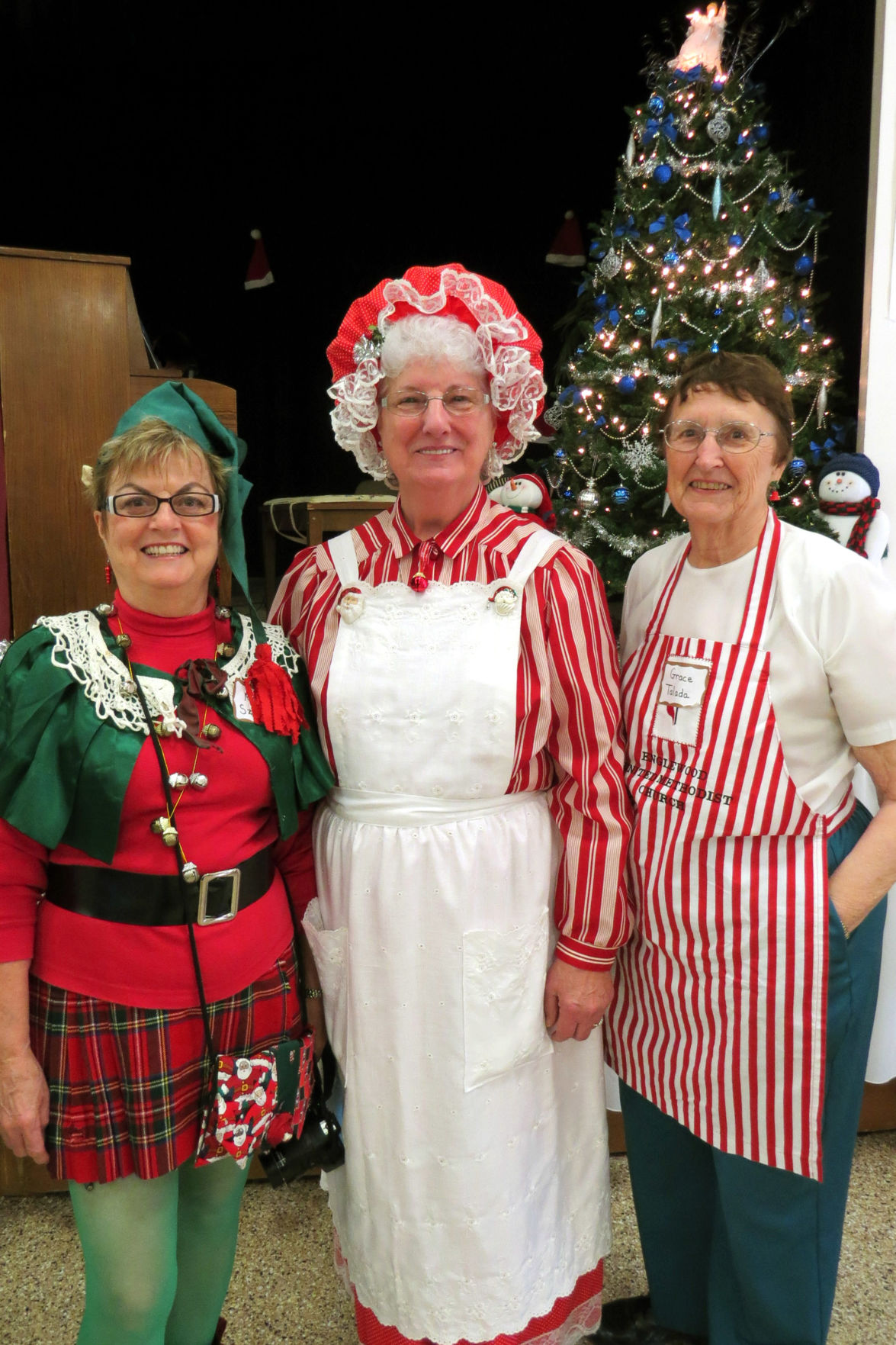 christmas dinner costume