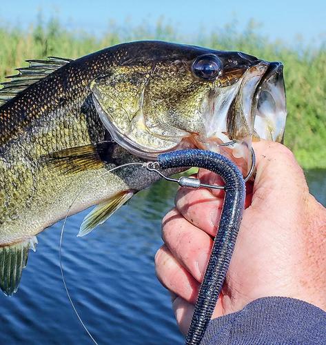 How to choose the best hook for the job, Waterline