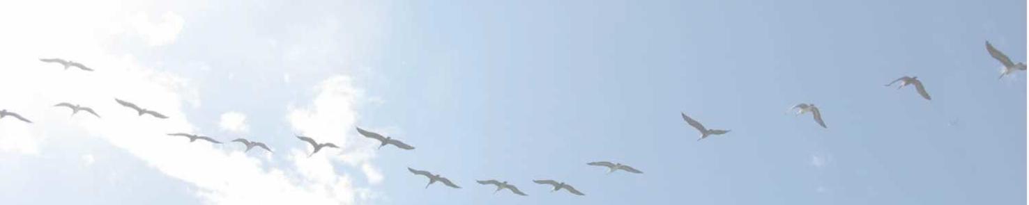 Obituaries | yoursun.com