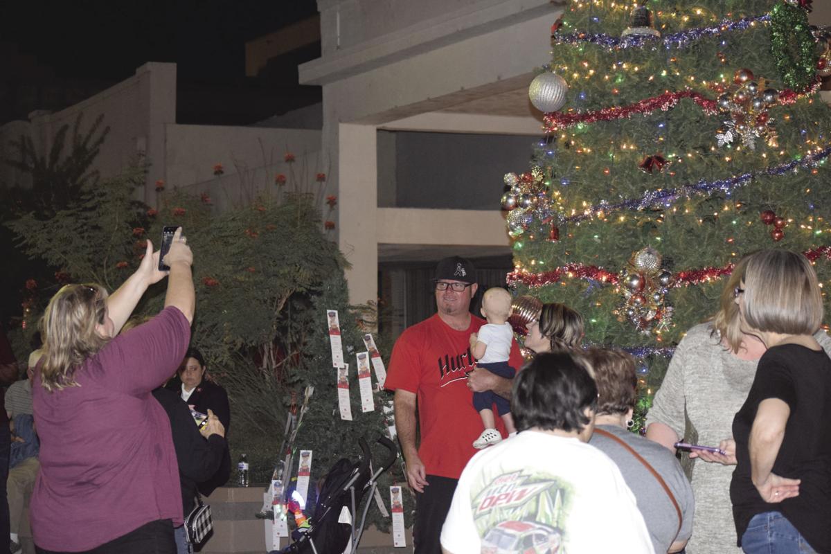 Admiring the tree