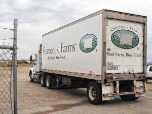 Got Milk Shamrock Farms Donates To Food Bank Yumasun Com
