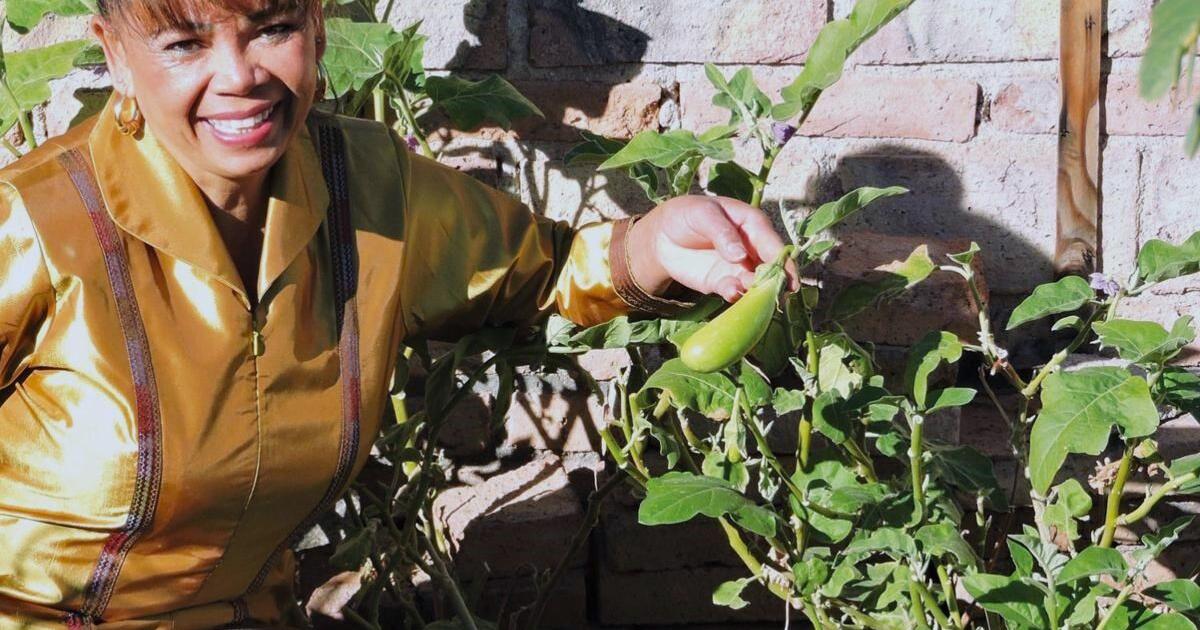Desert Gardener: Herbs used in Thai cooking can be grown in Yuma