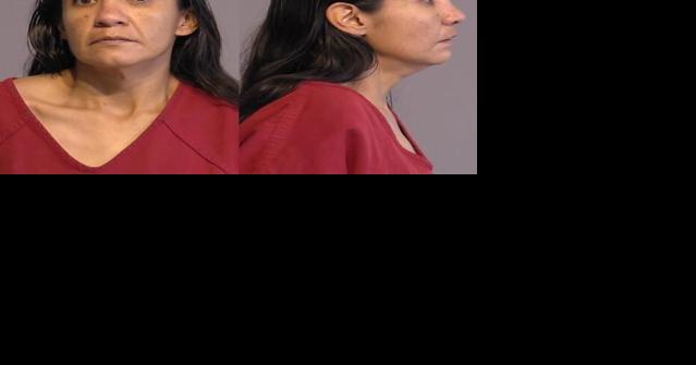 In Custody, April 29, 2024 - Vimarsana News