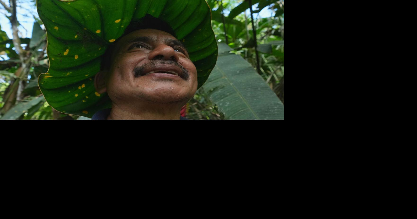 Ecuadorian leafs, Argentine protests and other top photos from Latin America and the Caribbean