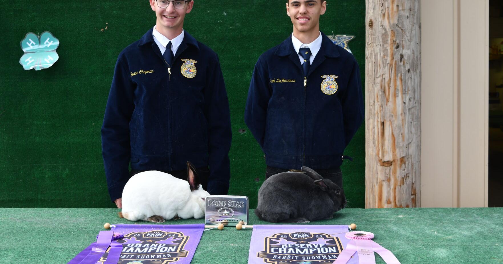 Hoppy days at the Fair: Rabbit Show and Showman Awards - Vimarsana News