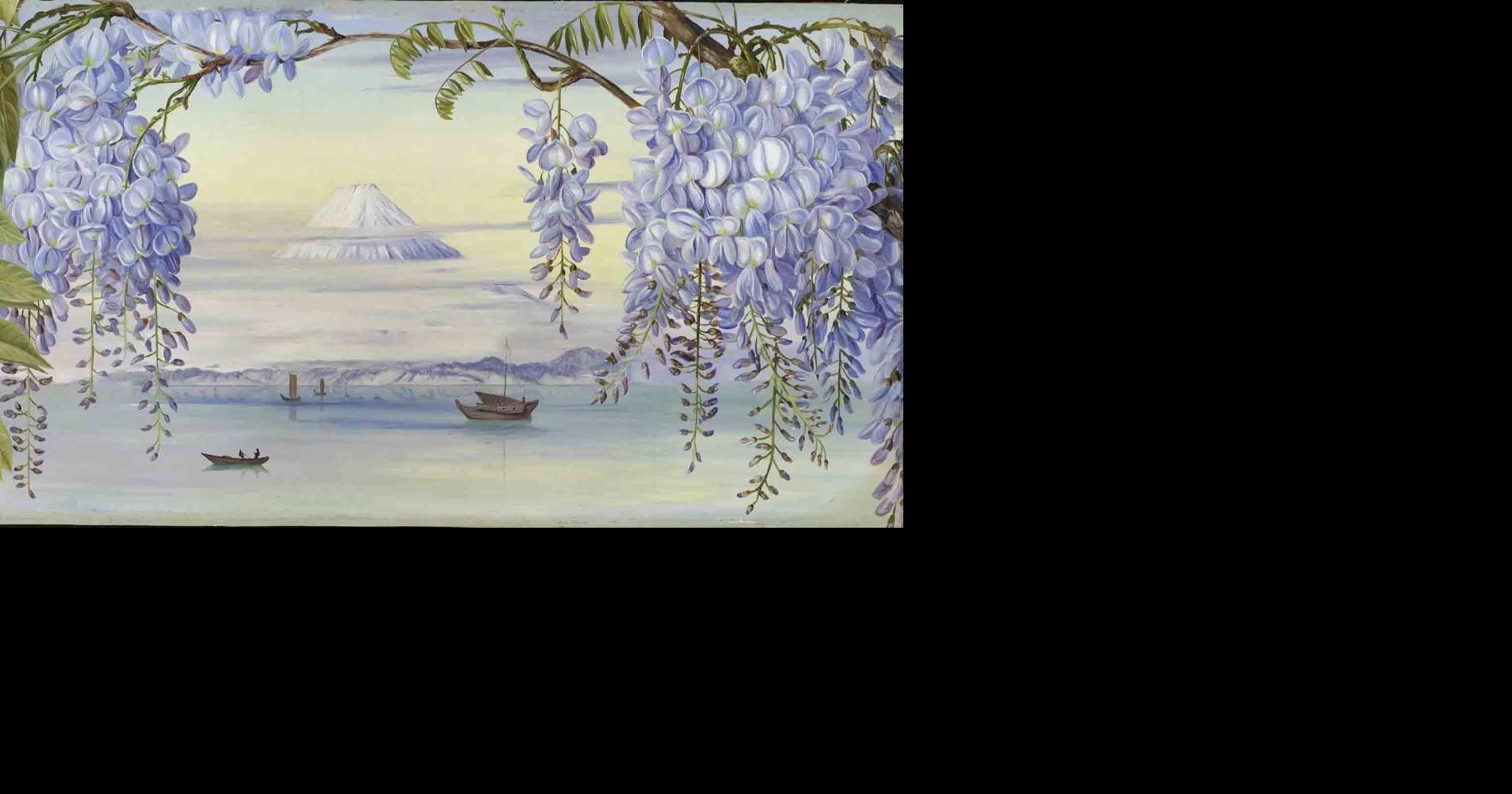 Desert Gardener: Travels of a Victorian botanical artist