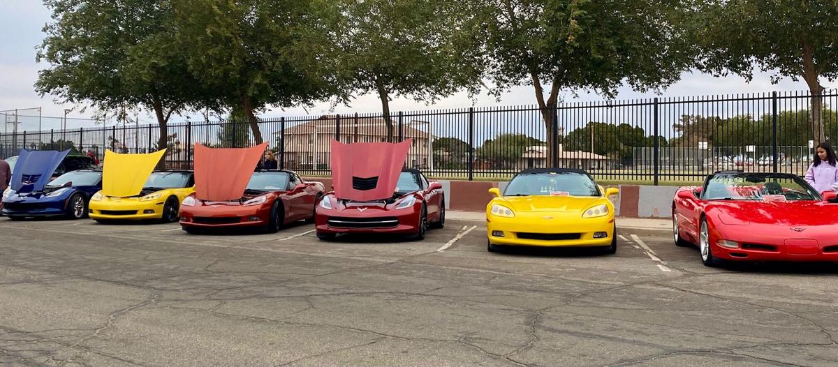A lineup of Corvettes